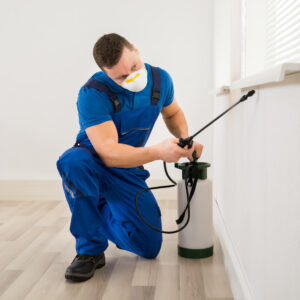 Pest Control – Types, Cost, And Top Services